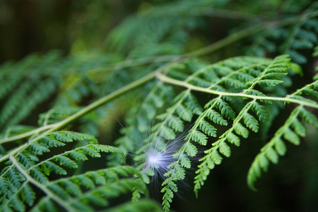 Forest Edge Rheenendal Esterno foto